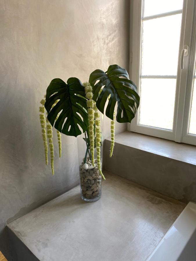 Apartamento Le Logis Gout Carcasona Exterior foto